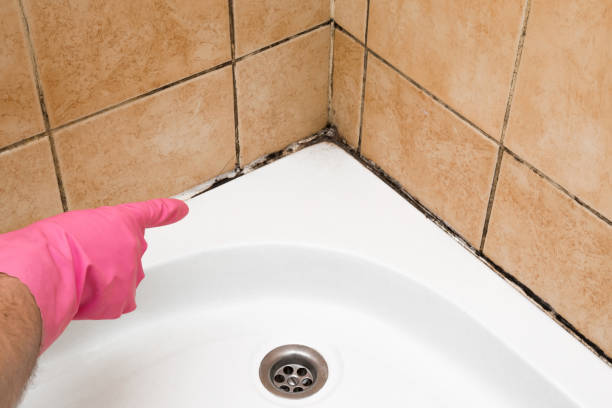 Best Professional Mold Removal  in Deland, FL